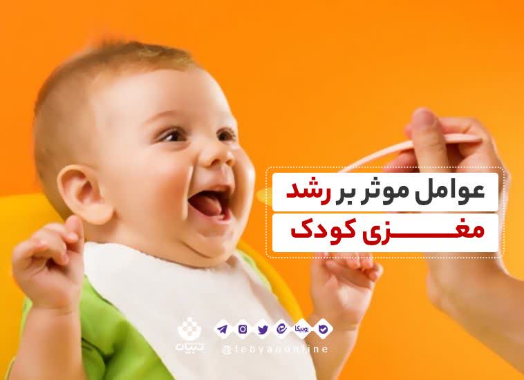 عوامل موثر بر رشد مغزی کودک