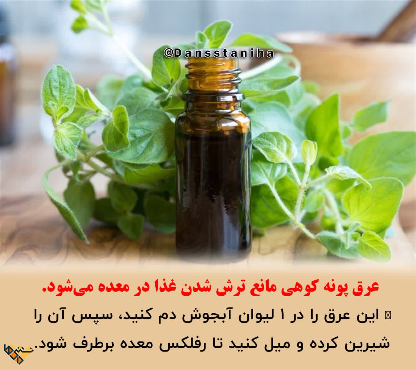 عرق پونه کوهی