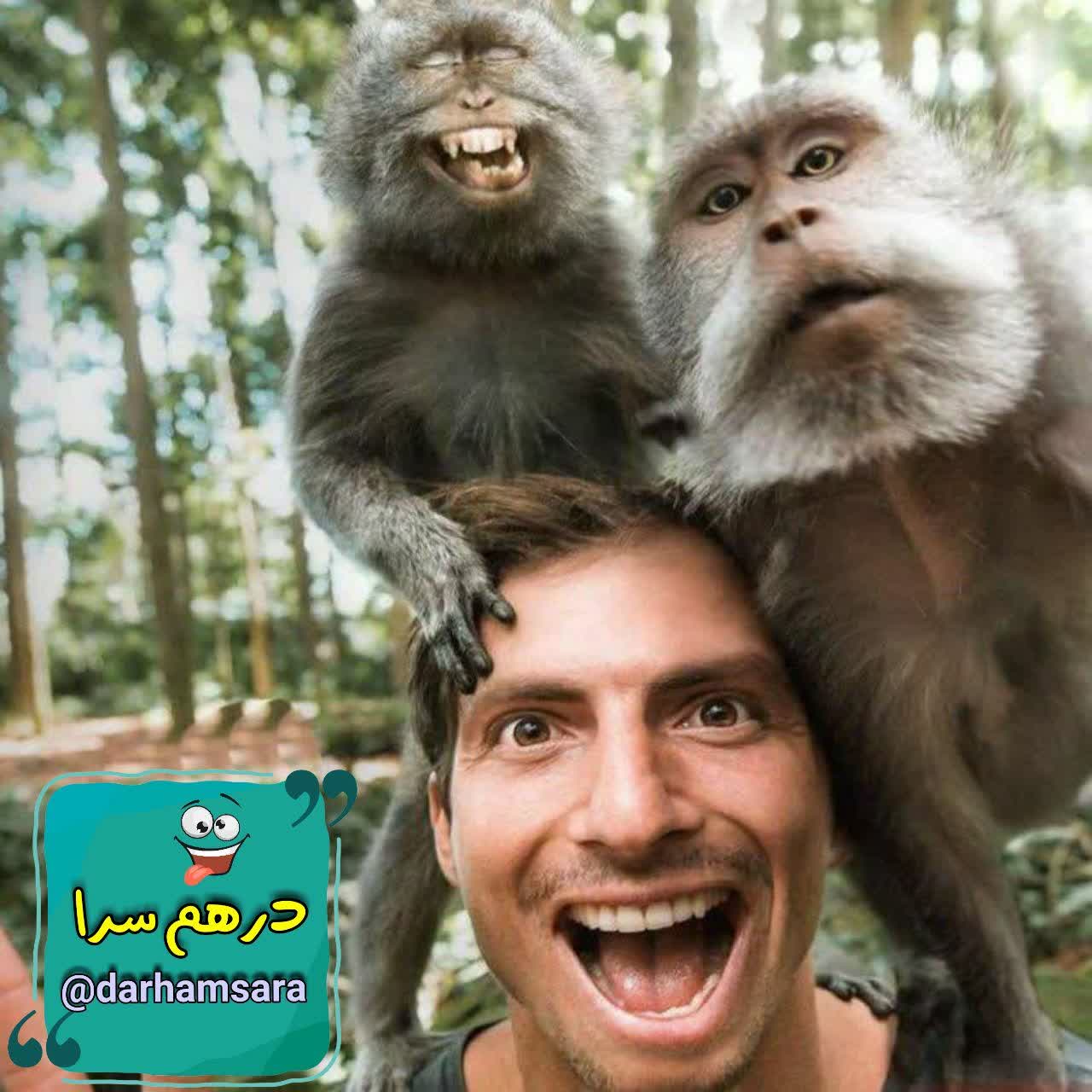 تقلیدکاری از انسانها