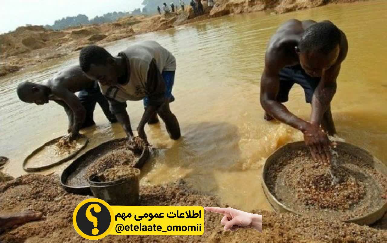 کثیف ترین شغل دنیا