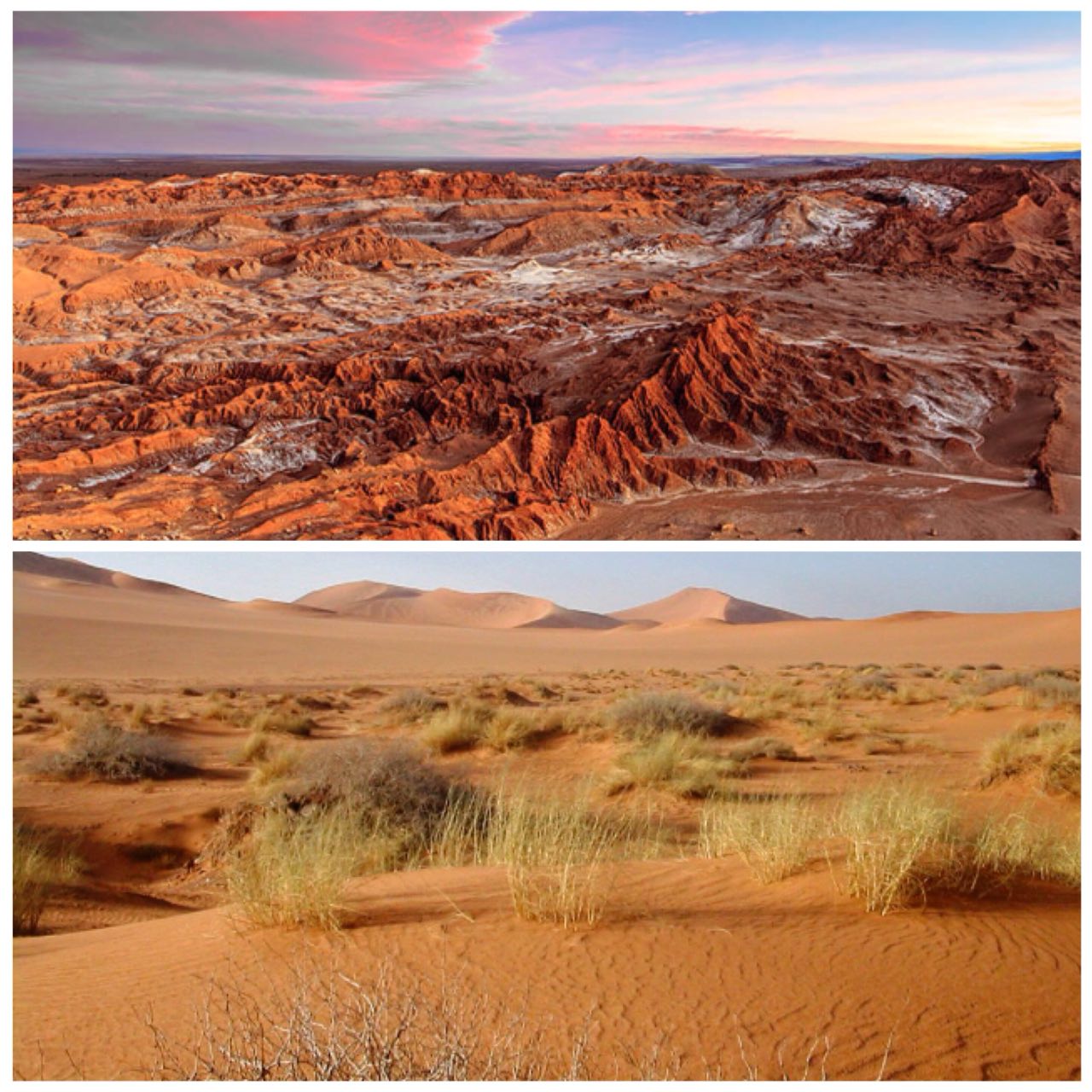 بیابان آتاکاما