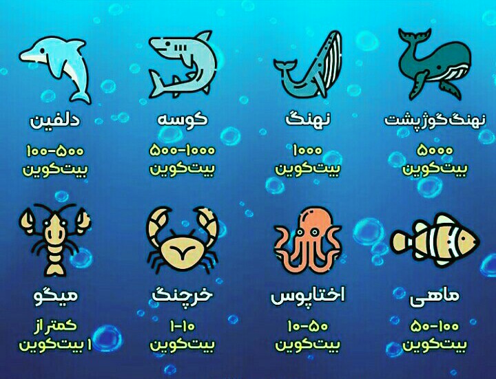 رتبه بندی هولدرهای بیت کویین