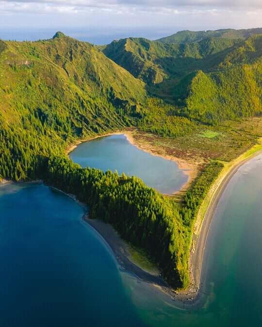 تلاش و موفقیت