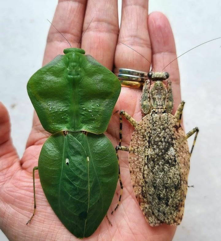 قدرت خداوند