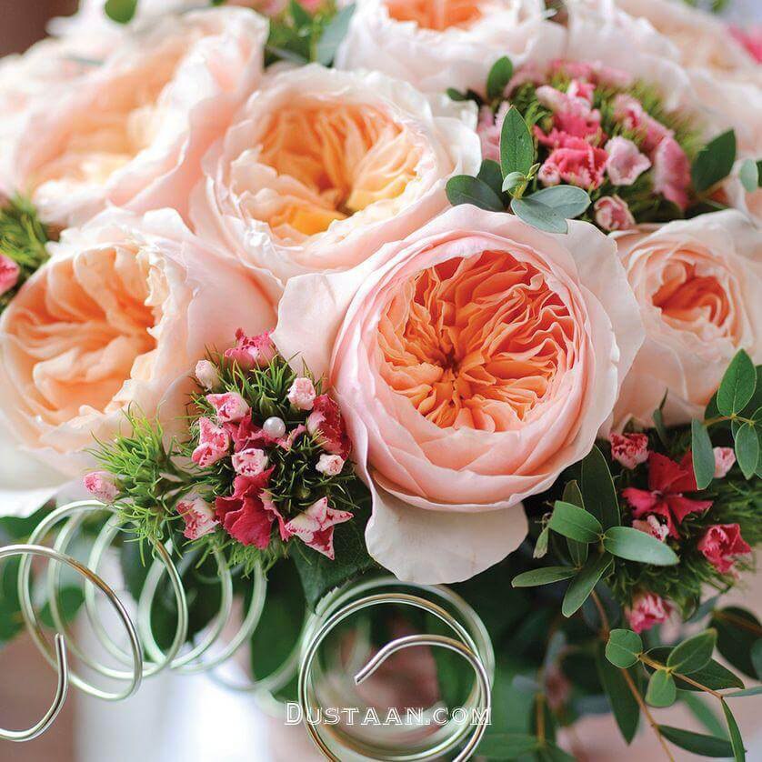 گرانترین گل جهان