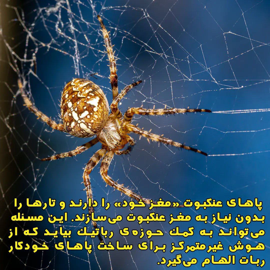 قدرت بی انتهای خداوند