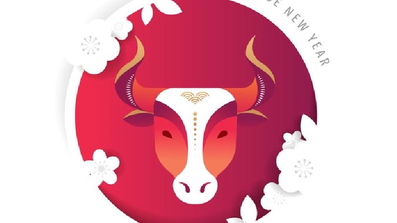 سال گاو چگونه خواهد بود