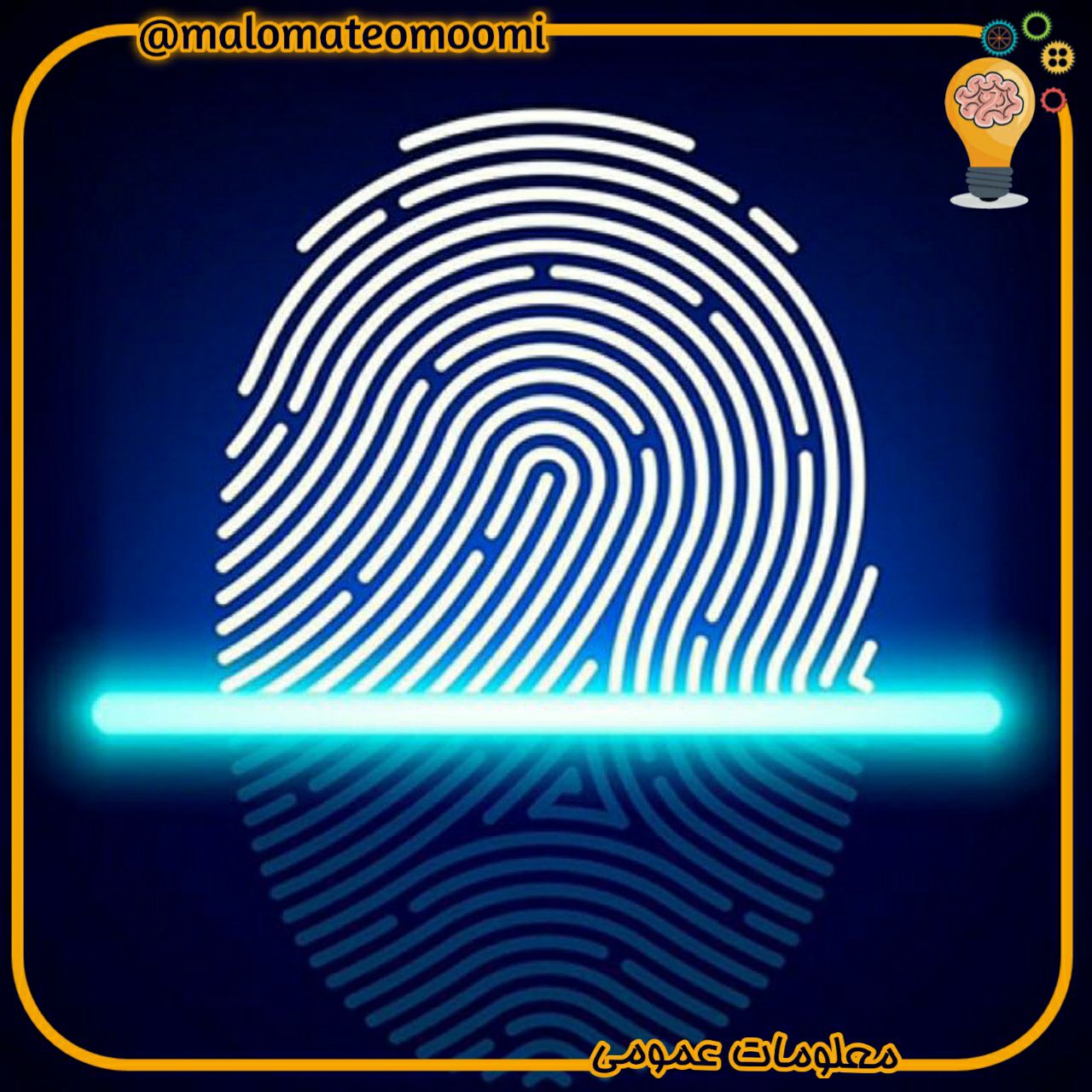 احتمال شبیه بودن دو اثر انگشت