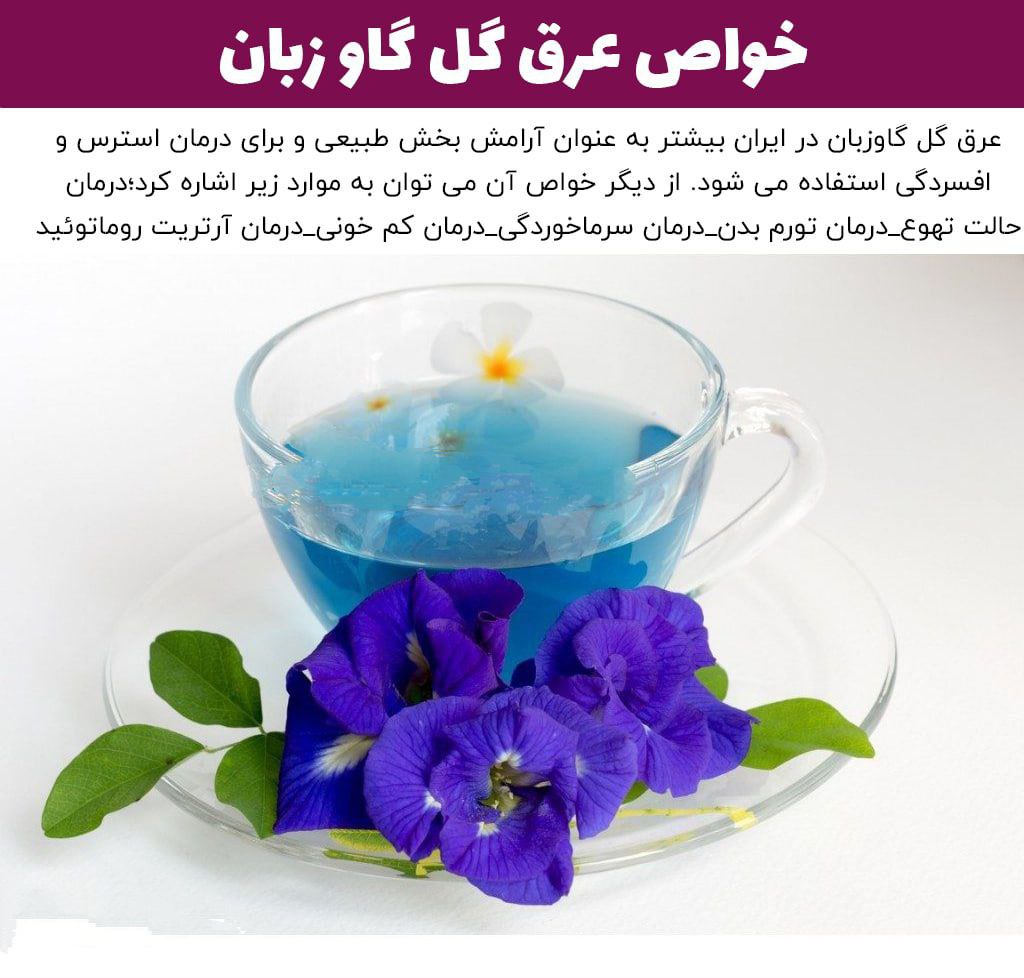 گل گاو زبان