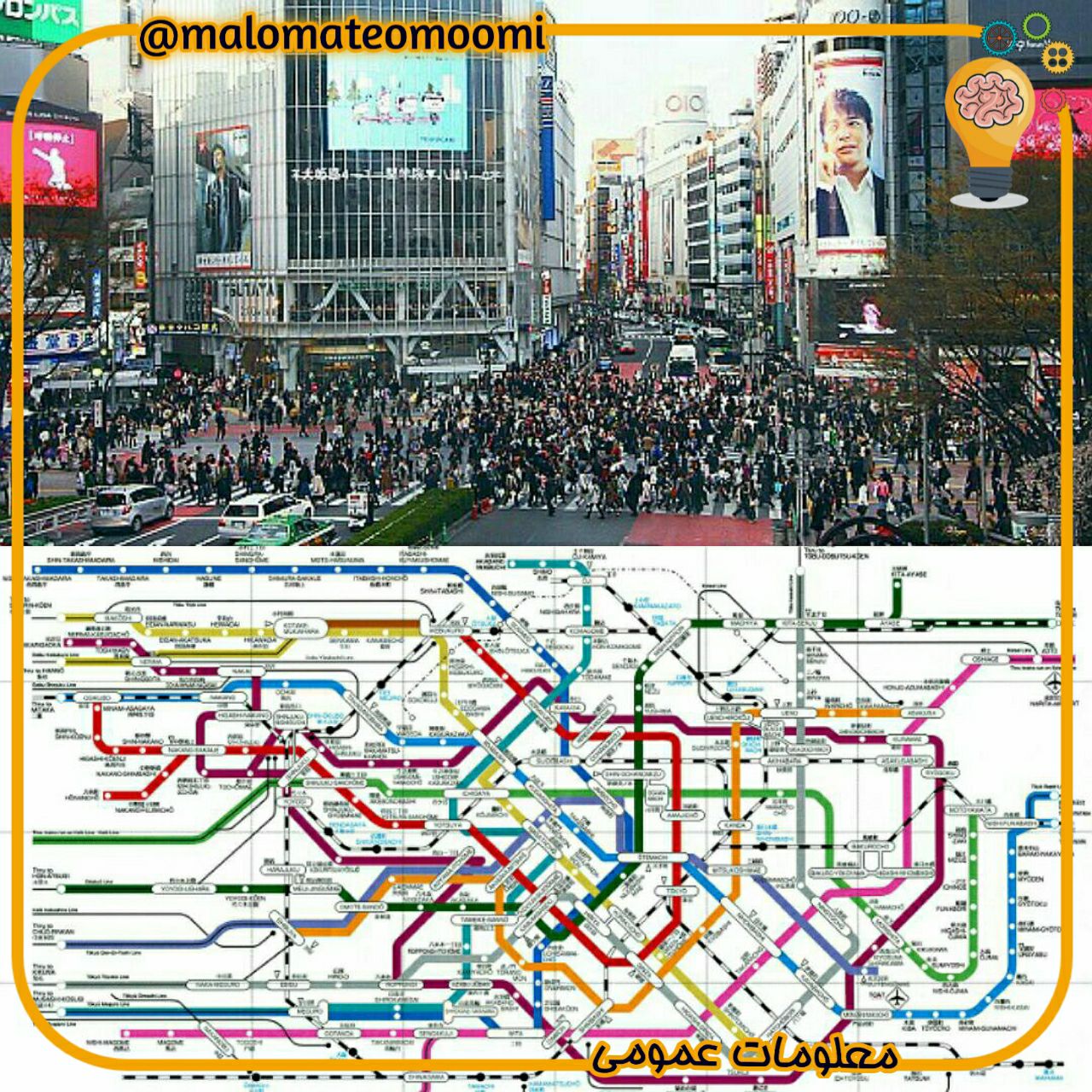 پرجمعیت ترین شهر جهان 