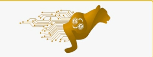 کسب رگباری یوز 