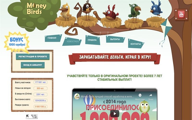 Money birds یا پرندگان 