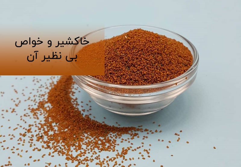 خاکشیر در بارداری