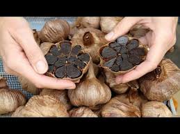 خواص سیر سیاه