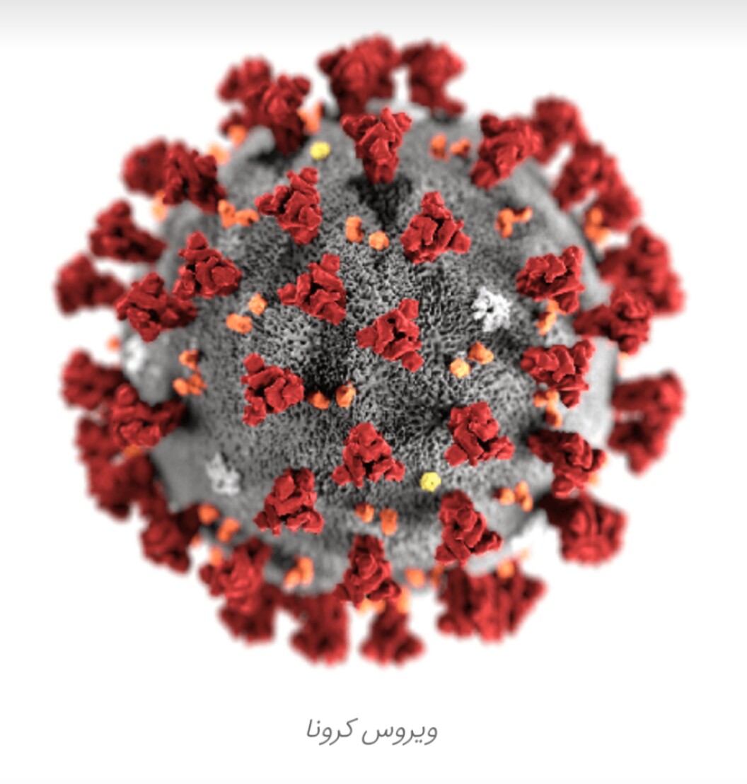 راهکارهایی برای جلوگیری از فوت فرد کرونایی 