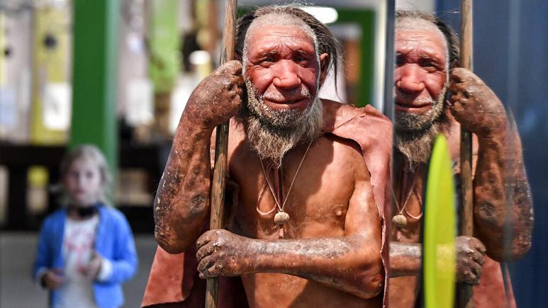 گروه خونی انسانهاي اولیه چه بوده است؟