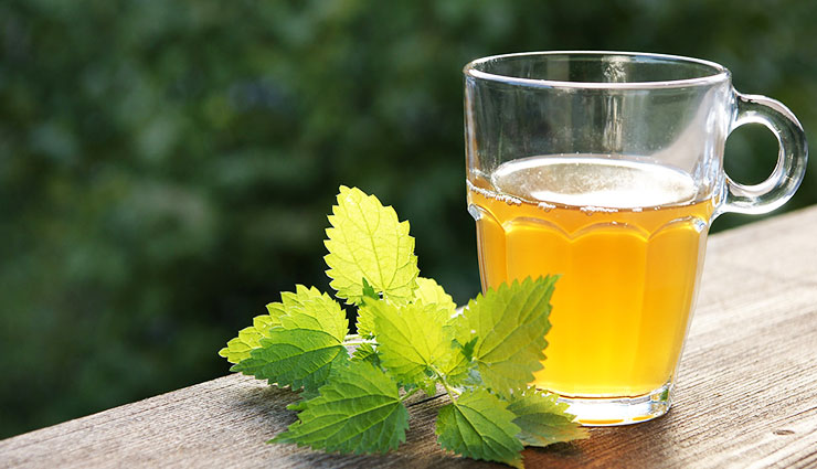 خواص گیاه گزنه