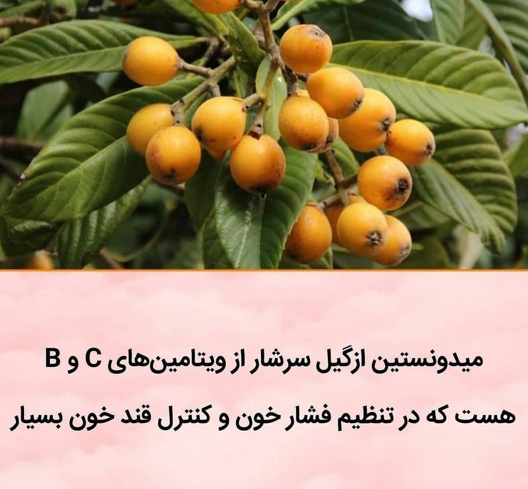 فواید ازگیل