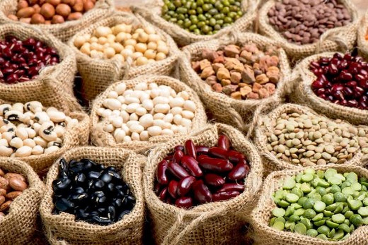 فریز کردن حبوبات پخته