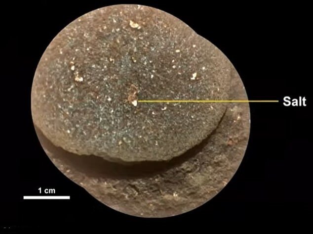 مریخ زمانی قابل سکونت بوده است!