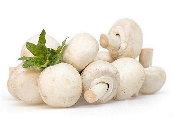 شگردهای نگهداری از قارچ خوراکی