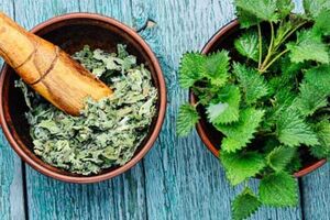 آشنایی با خواص جادویی گزنه 