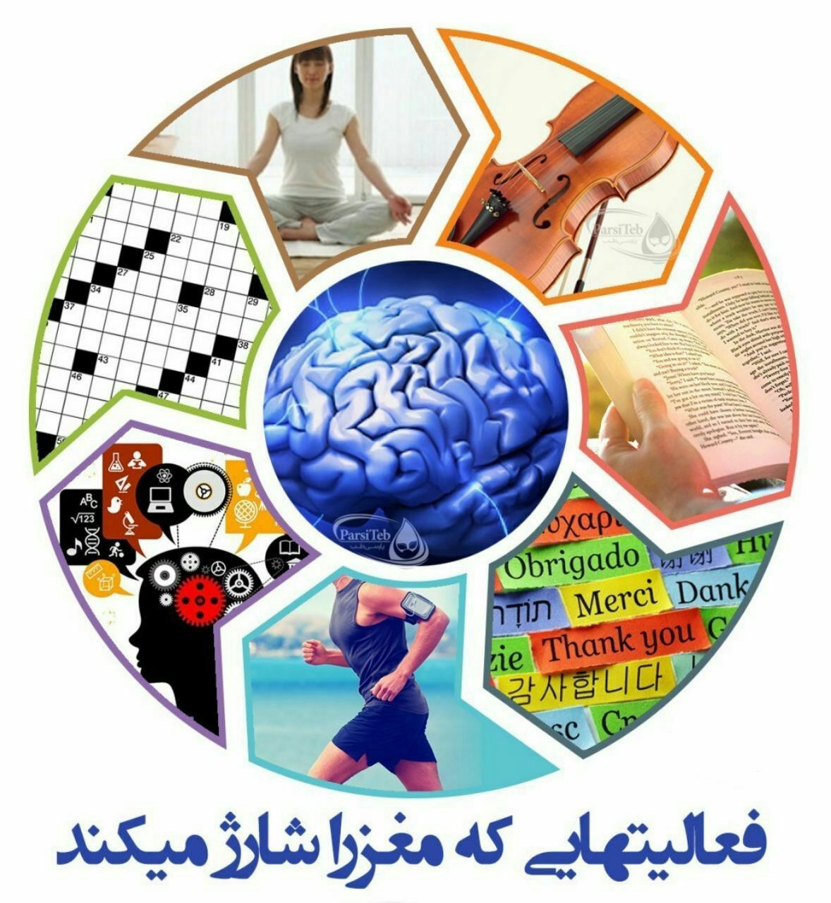 فعالیت هایی که مغز را شارژ می کنند