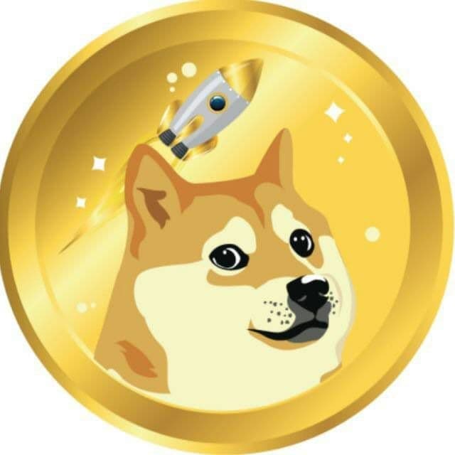 ایردراپ 100 دلاری Rocketdoge