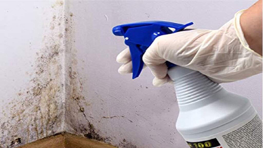 ترفند برای از بین بردن لک دیوار