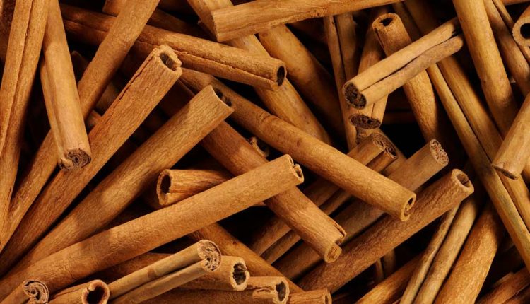 همه چیز درباره دارچین