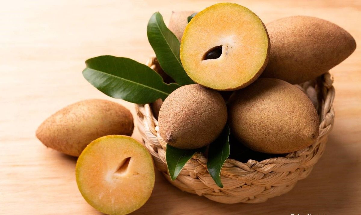 خواص میوه چیکو