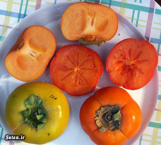 همه چیز درباره خرمالو