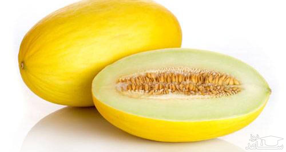 همه چیز درباره خربزه