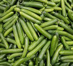 خیار یا بادرنگ