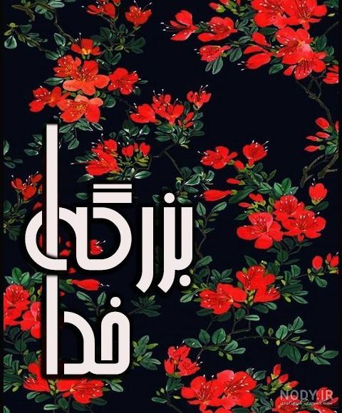 قدرت ذهن زیبا