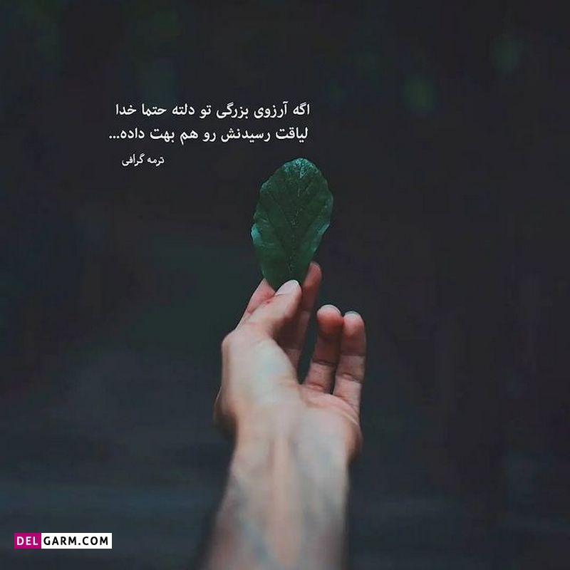 ظهور ذهن آرام