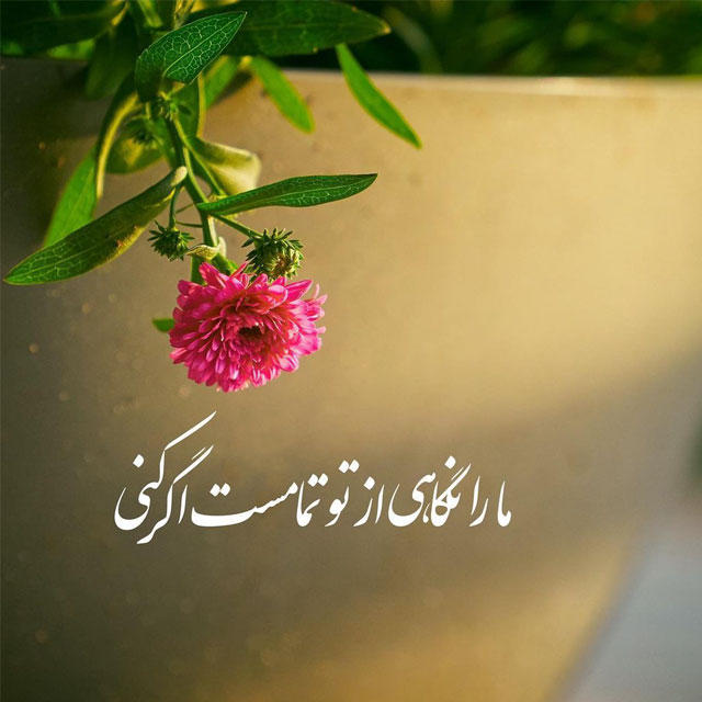 ذهن کوشا و نیک