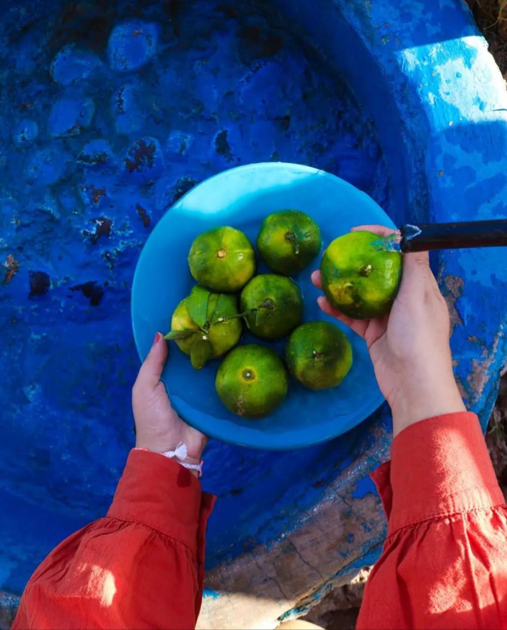 بیست روش برای اینکه همیشه خوشحال باشید