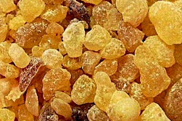 مصرف مصطکی برای لاغری