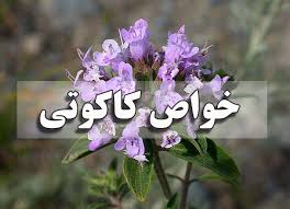 گیاه کاکوتی چیست؟